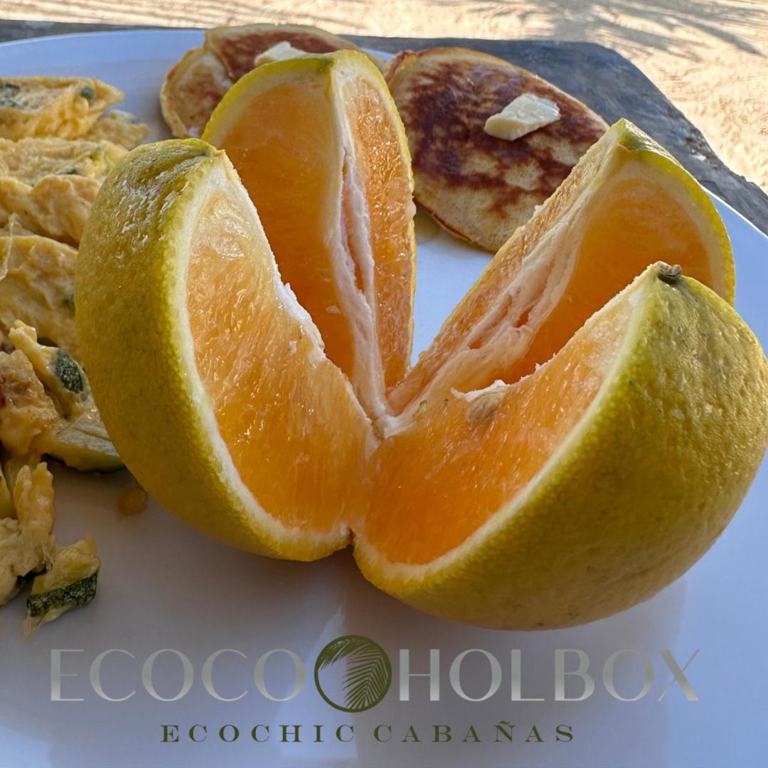 Ecoco Holbox - Ecochic - Cabanas De Madera - Holbox Retreat Екстер'єр фото